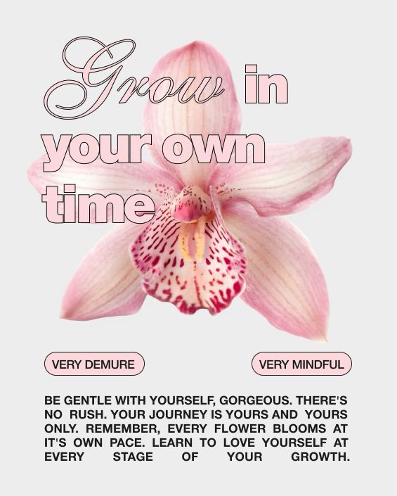 Pink orchid adhesive